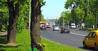 Посадка деревьев и кустарников в Шахтах — стоимость от 1302 руб.